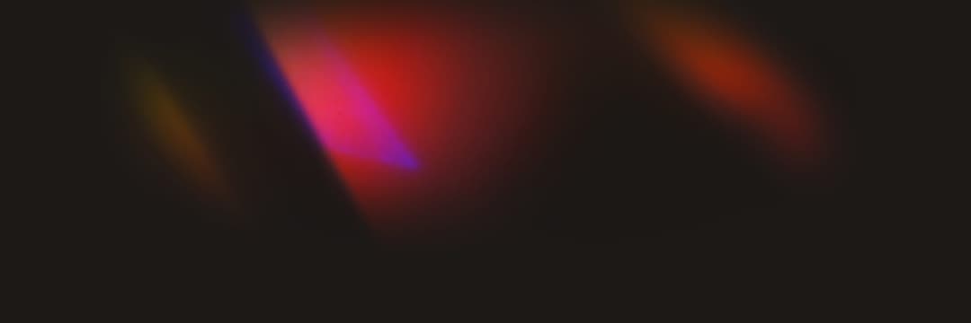 Picture of the author